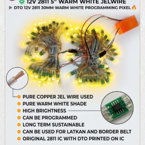 12V WS2811 5 Inch Warm White LED Pixel Light | Jel Wire Programming Pixel | 30mm Addressable LED Module